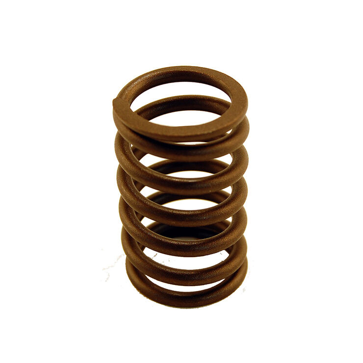 Valve Spring