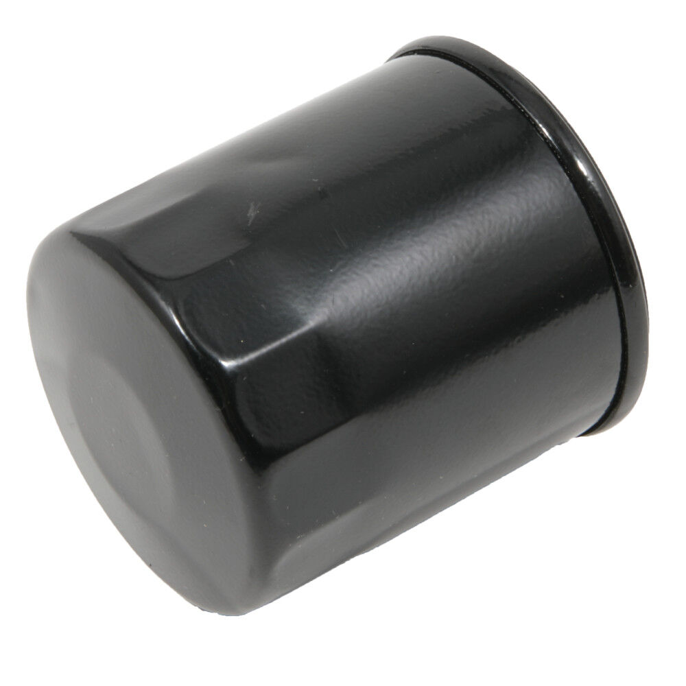 Oil Filter (Replacement for Kawasaki® 49065) - 751P145003 | Troy