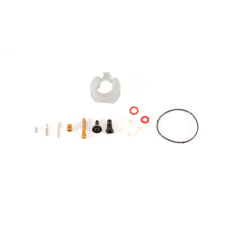 Carburetor Kit &#40;Major&#41;