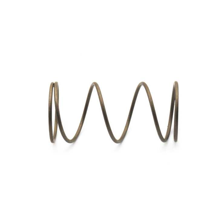 FILTER SPRING                 