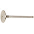 Intake Valve