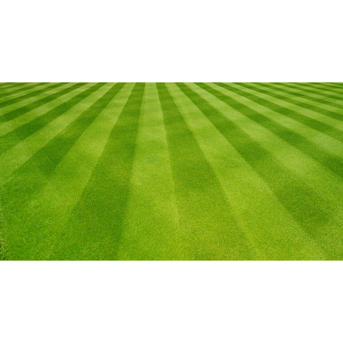 Striping Kit for 28 inch Wide Cut Mowers 19A20003OEM Troy Bilt US