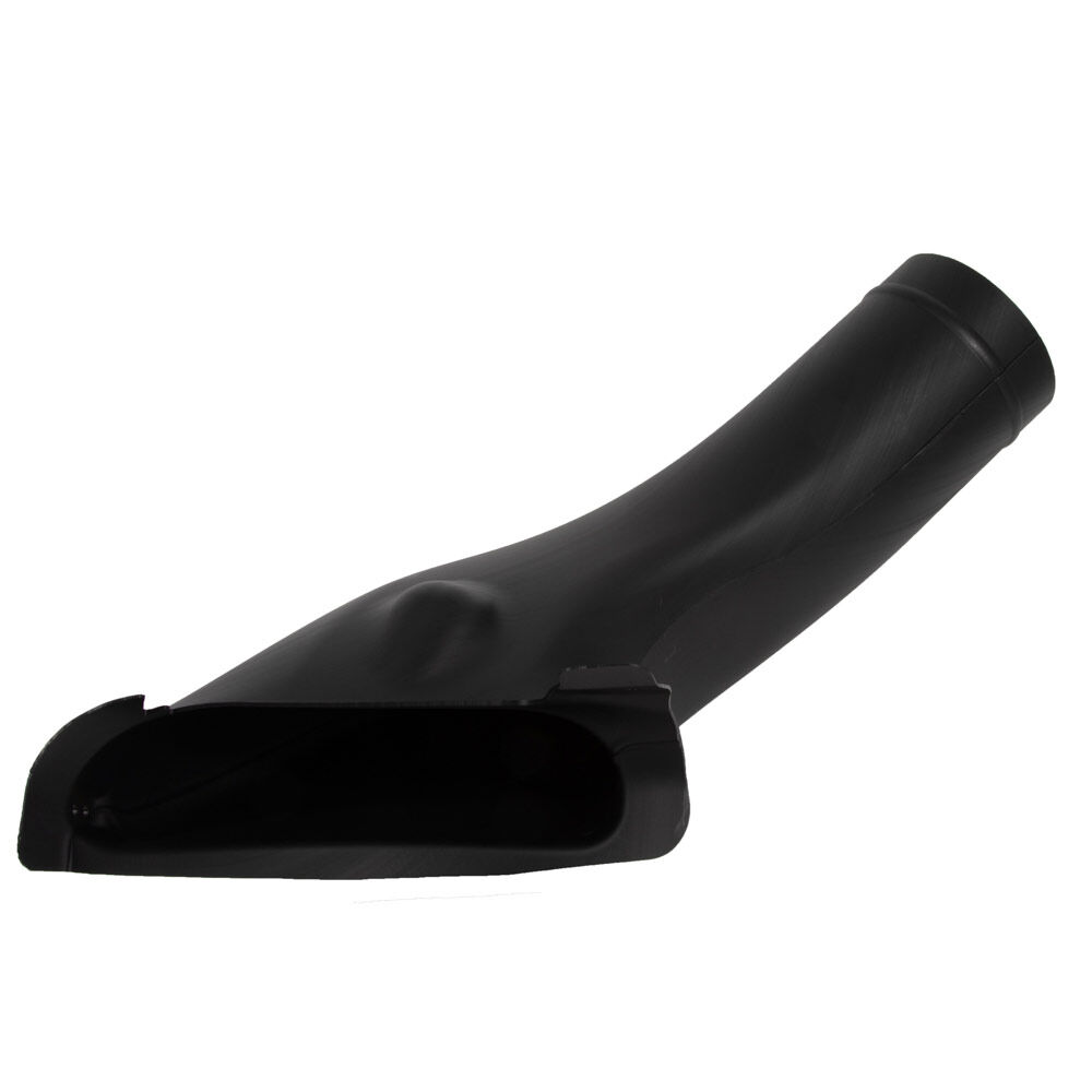 71 山採り　バイカツツジ 71 山採り バイカツツジ バイカツツジ 山採り 【品番3479】 - メルカリ