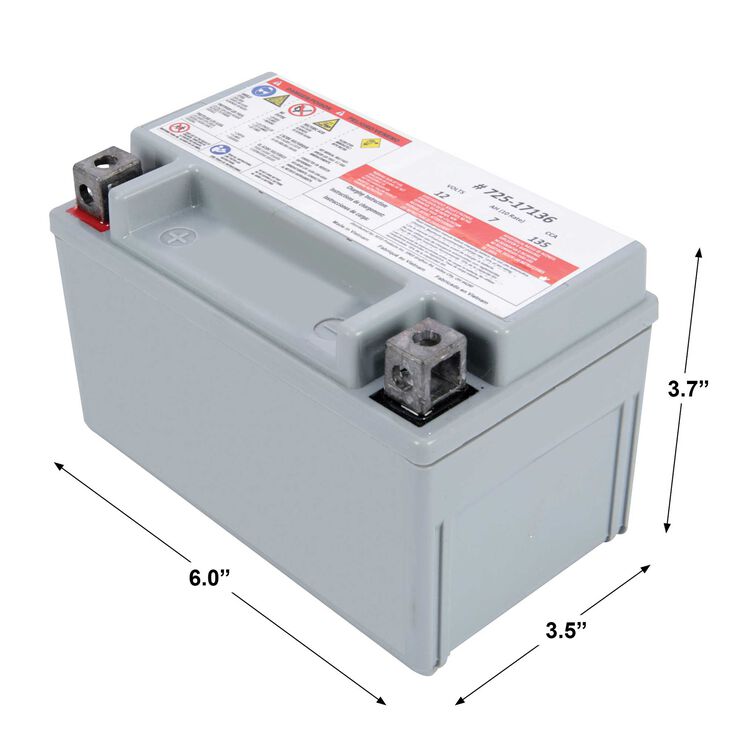 12-Volt Absorbent Glass Mat &#40;AGM&#41; Battery - 135 CCA