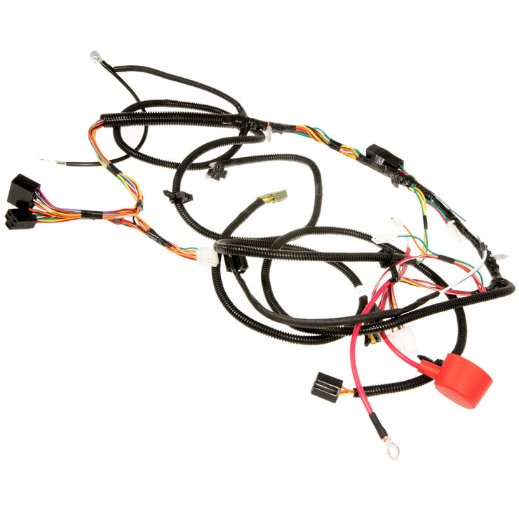 Main Harness