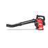 TB27BH Leaf Blower