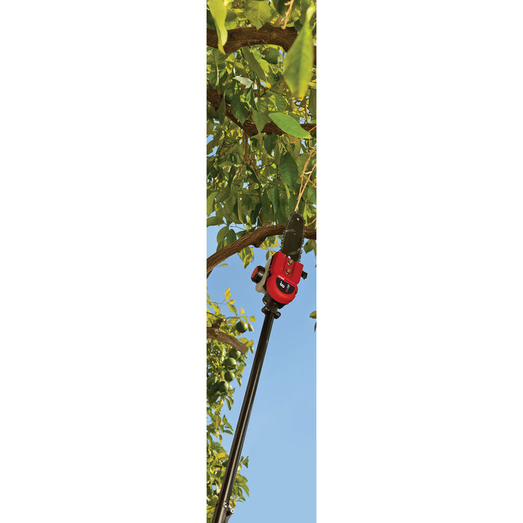 https://www.troybilt.com/dw/image/v2/BCSH_PRD/on/demandware.static/-/Sites-mtd-master-catalog/default/dwd5fee920/products/Attachments_Accessories/Trimmerplus-pole-saw_TPP720_5.jpg?sw=740&sh=740&sm=fit