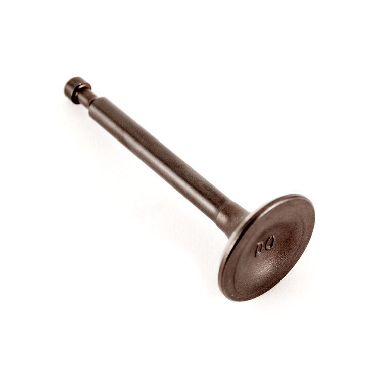 Exhaust Valve