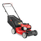 TB200 Self-Propelled Lawn Mower