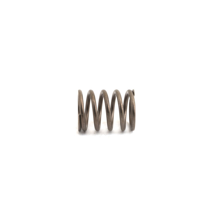 Valve Spring