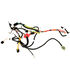 Main Harness