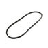 Drive Belt