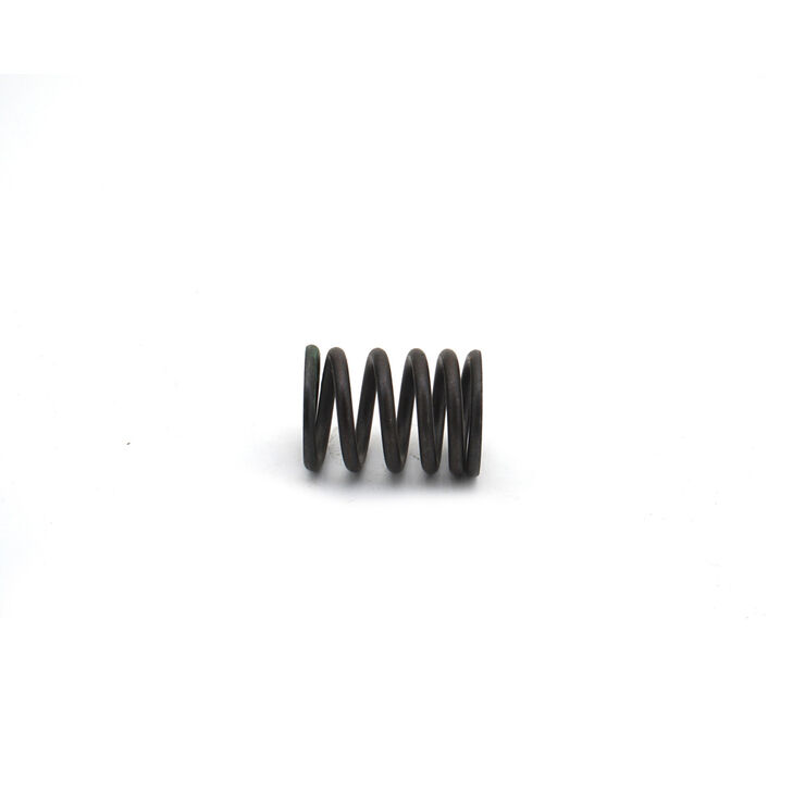 INTAKE VALVE SPRING           
