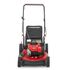 TB125B Push Lawn Mower
