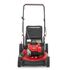 TB125B Push Lawn Mower &#40;2023&#41;