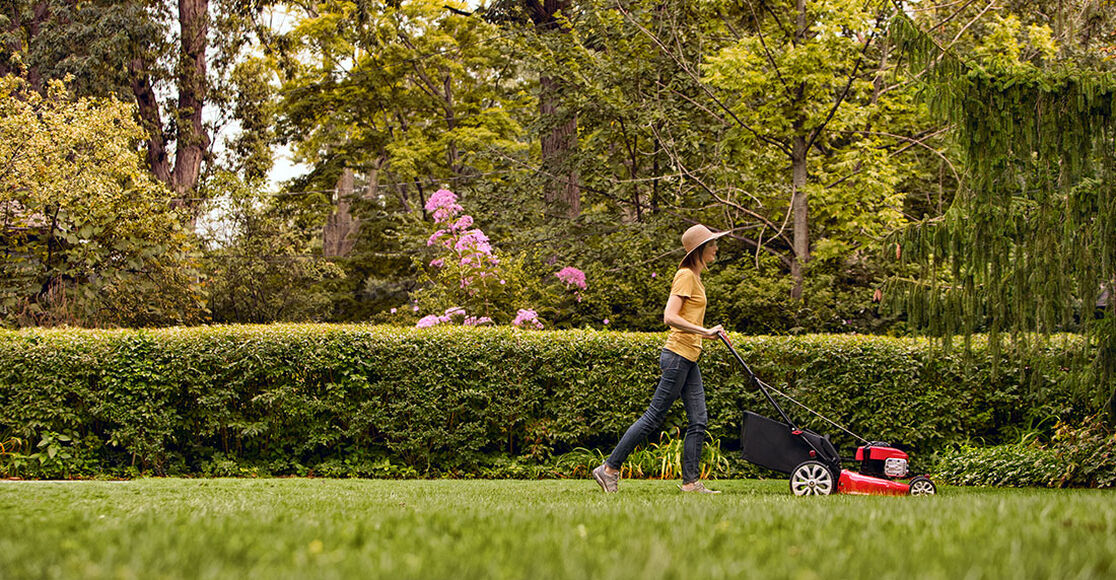 What Is the Best Time of Day to Cut Grass? TroyBilt TroyBilt US