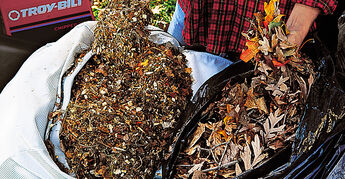 How Do I Compost Fall Leaves?