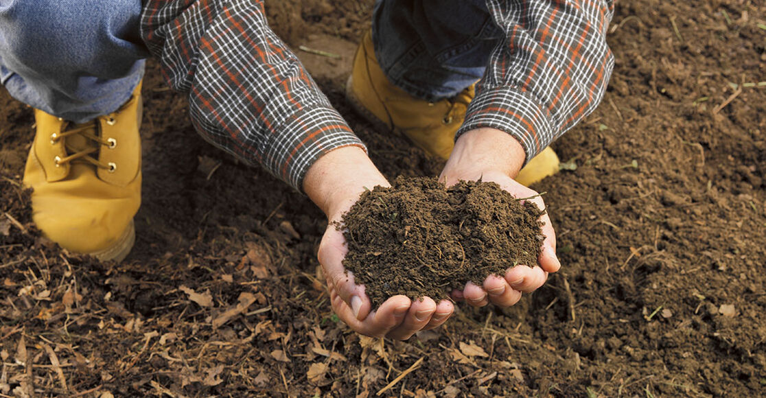 Improve Soil Quality for a Healthier Lawn TroyBilt TroyBilt US