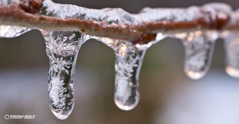 What Type of Damage Could My Yard Experience in the Winter?