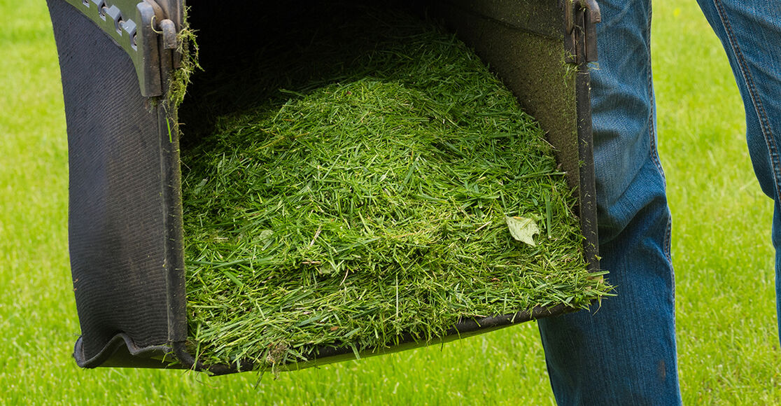 Is It Better to Mulch or Bag Grass Clippings? TroyBilt TroyBilt US