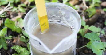 Gardening How-to
