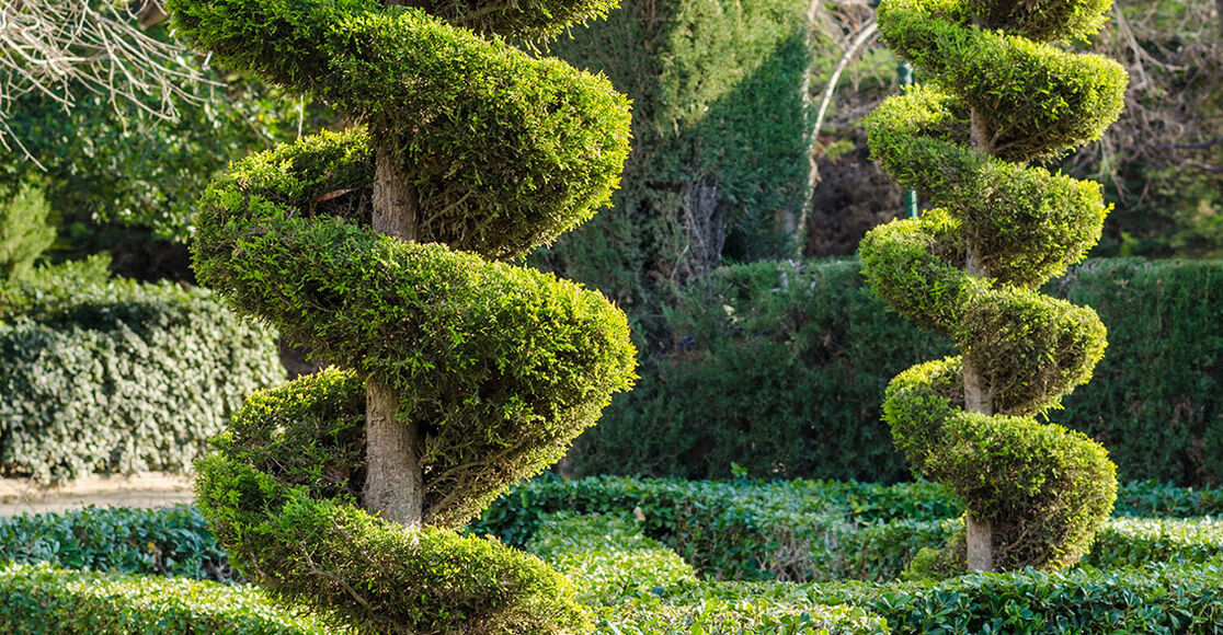 DIY Topiary Ideas from the Garden TroyBilt TroyBilt US