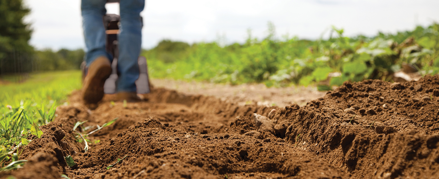 how to choose a snow blower 