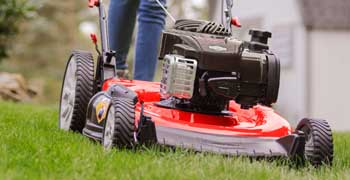 mulcher-push-mower